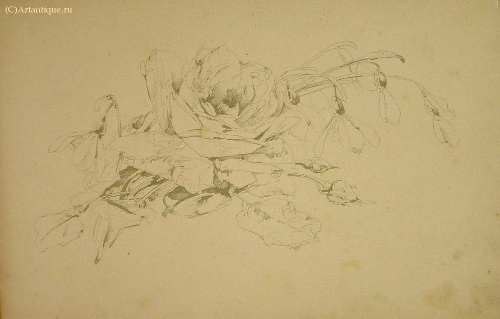 "Flora"
