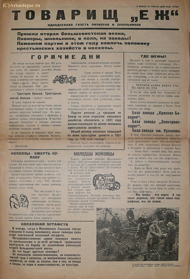 "Товарищ "ЕЖ"