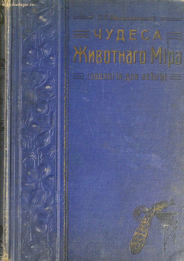 Васильковский П. Е.