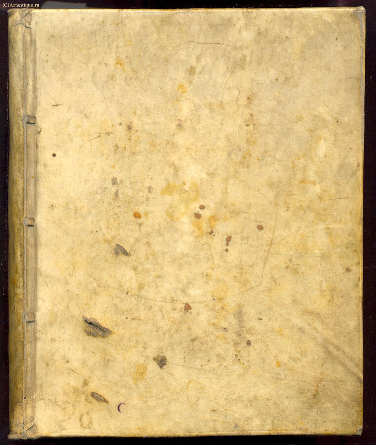 Albertinae Lineae 