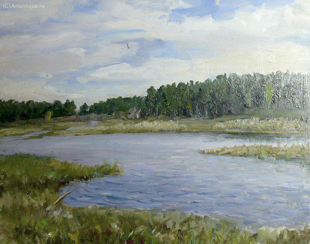 Картина "Запруда"