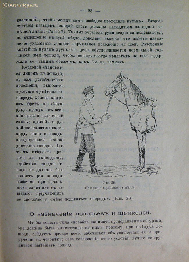 Шахматов В. А. (ротмистр)