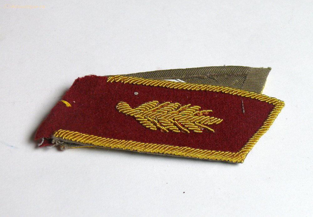 Петлицы