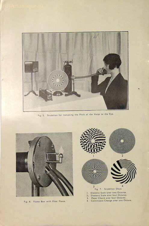 Homan F.