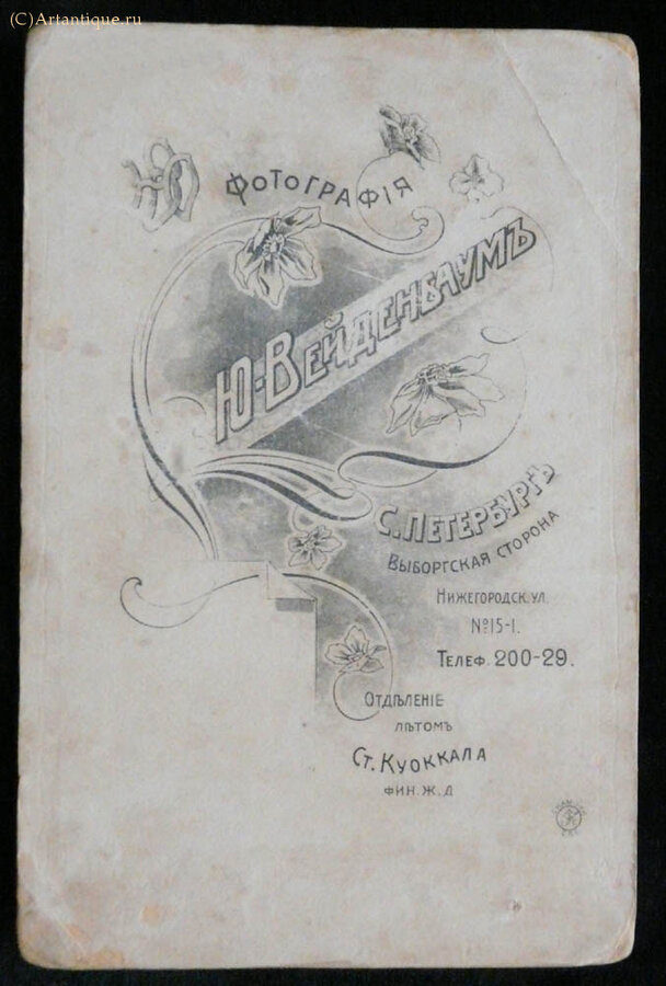 Фотография
