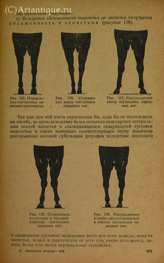 Дюрст Ульрих