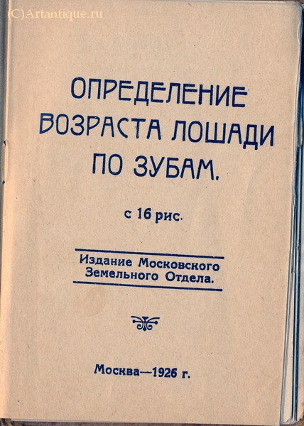 "Определение возраста лошади по зубам"