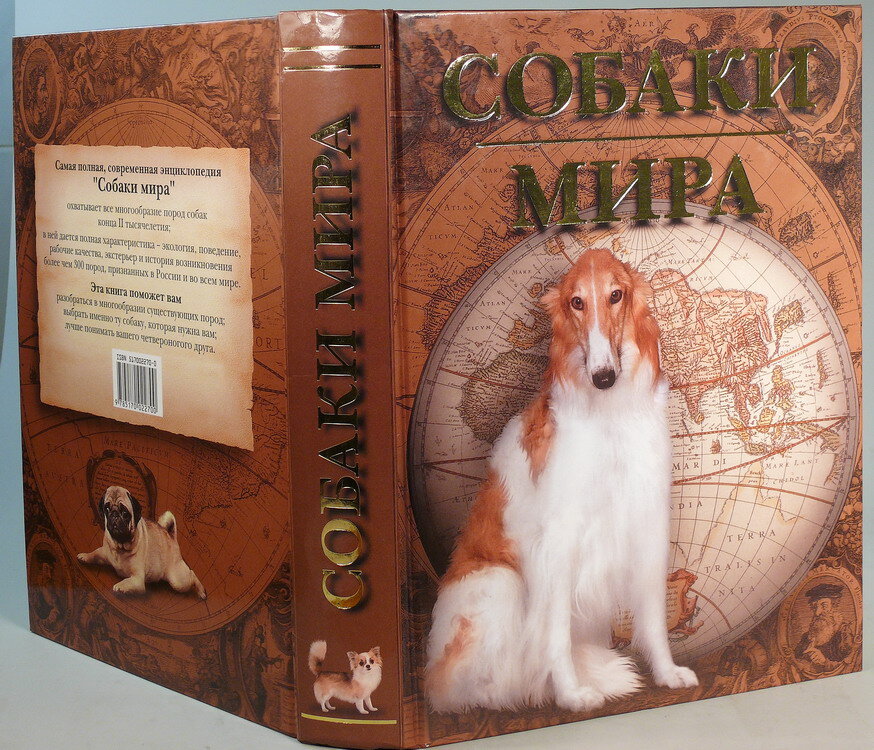 "Собаки мира"