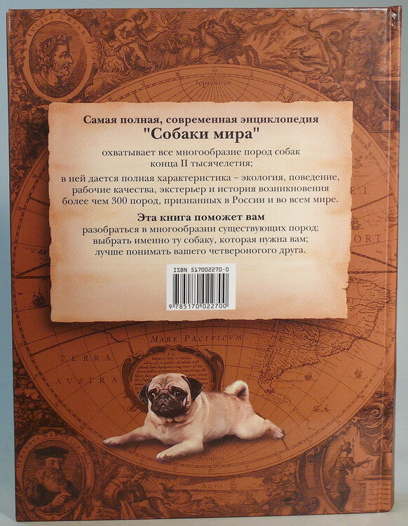 "Собаки мира"