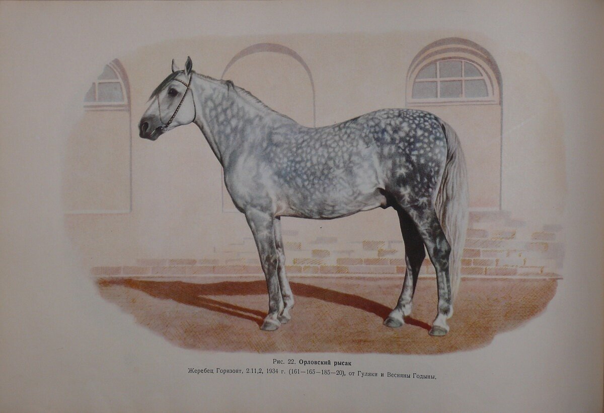 Афанасьев С. В., Ляхов В. Н. 
