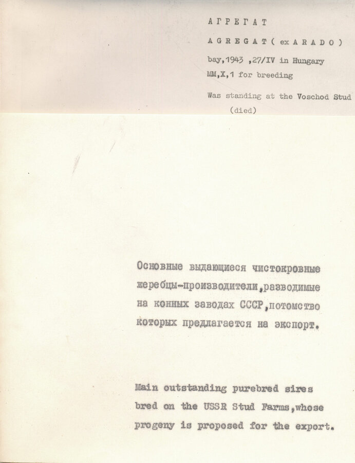 "Чистокровные верховые жеребцы СССР"