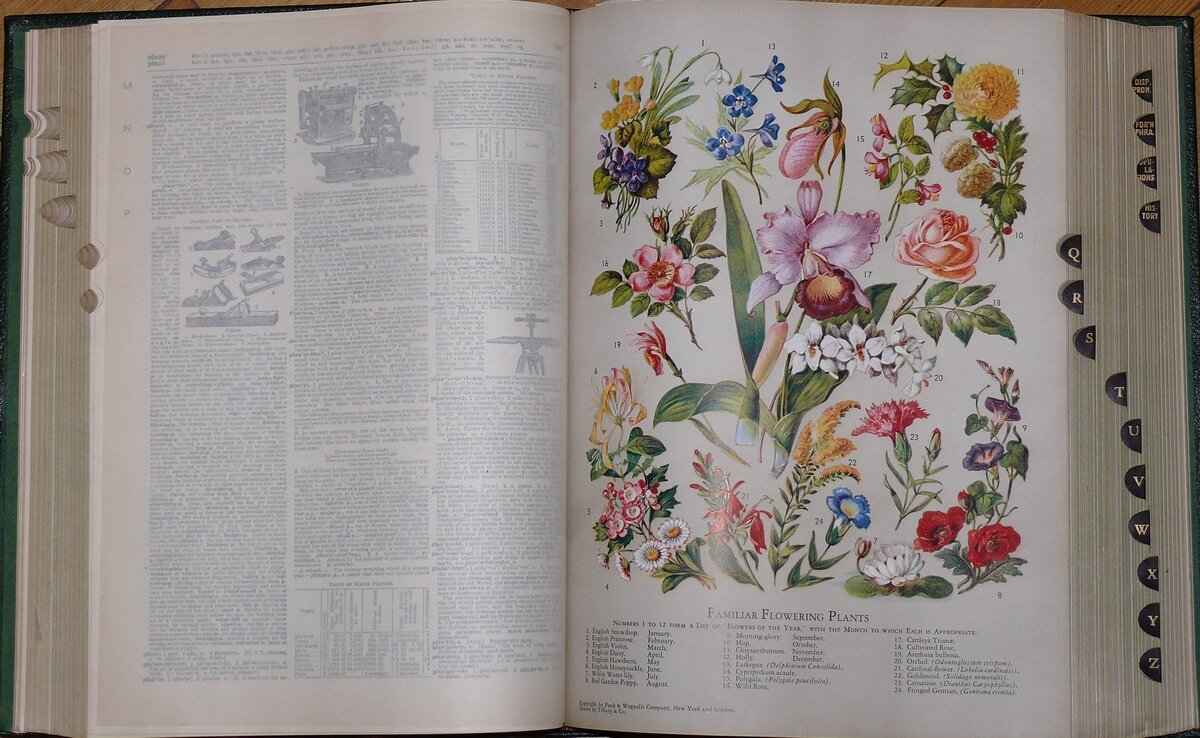 "New Standard Dictionary of the English Language"