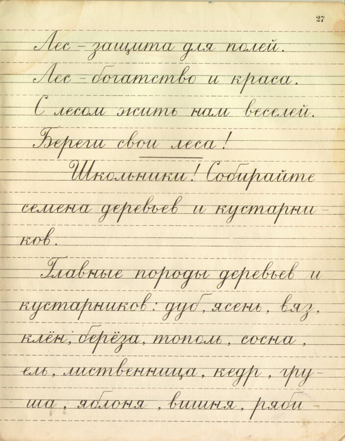 Воскресенская А. И. и Ткаченко Н. И.