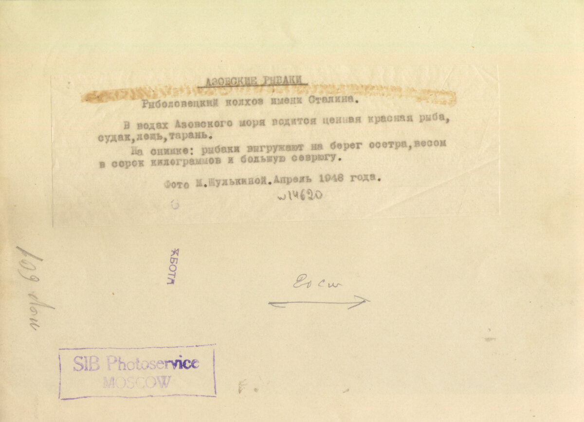 Фотография "Азовские рыбаки.Рыболовецкий колхоз имени Сталина"