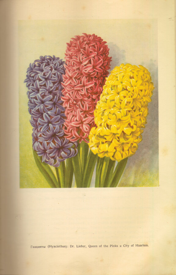 Киселев Г. Е.