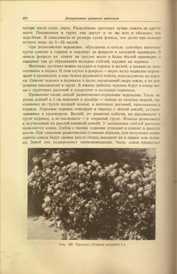 Киселев Г. Е.