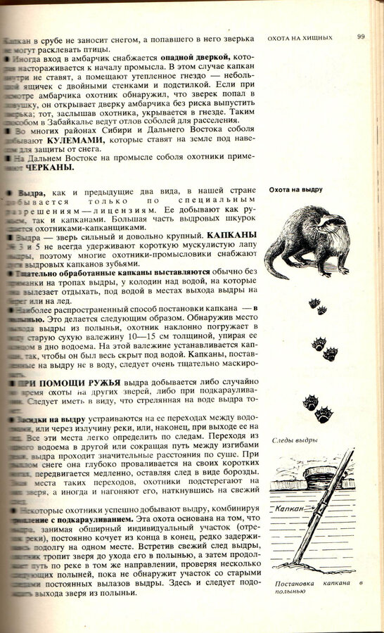 Дежкин В. В.