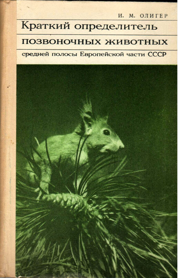 Олигер И.М.