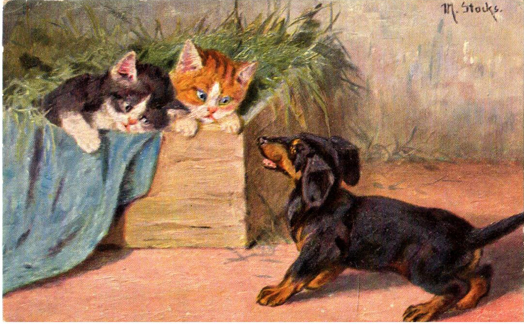 Открытки "Таксы. Собаки. Кошки. Животные"