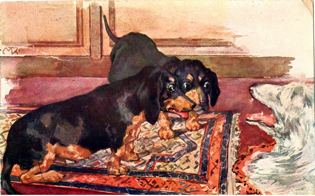 Открытки "Таксы. Собаки. Кошки. Животные"