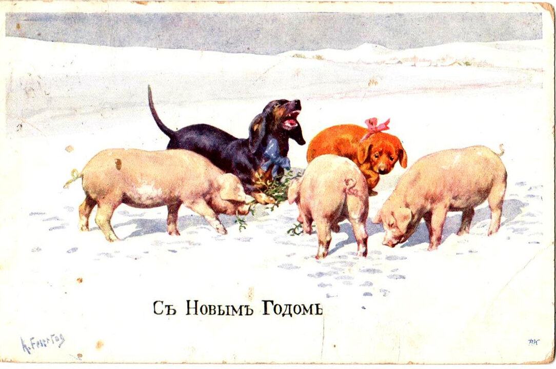 Открытки "Таксы. Собаки. Кошки. Животные"