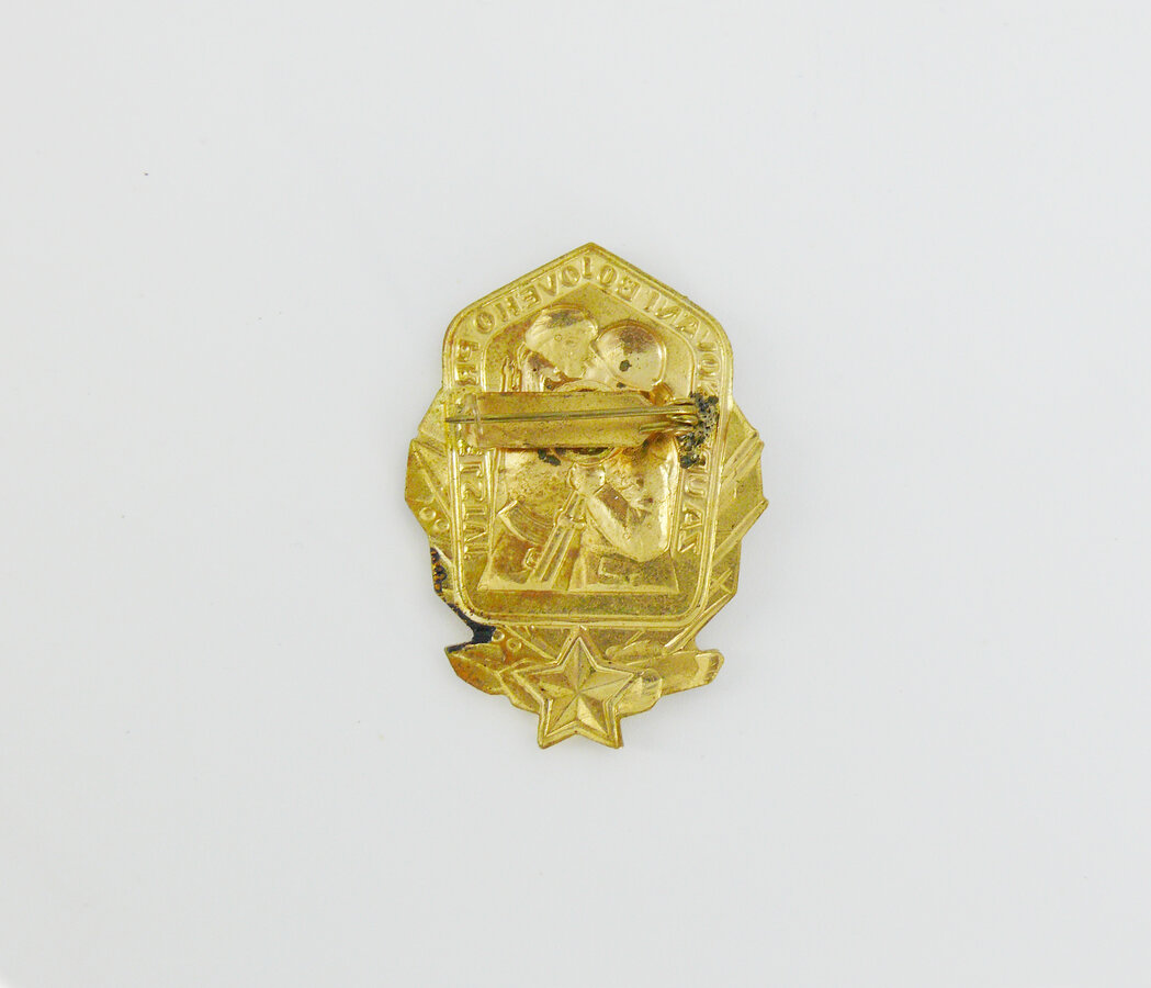 Знак Боевое братство