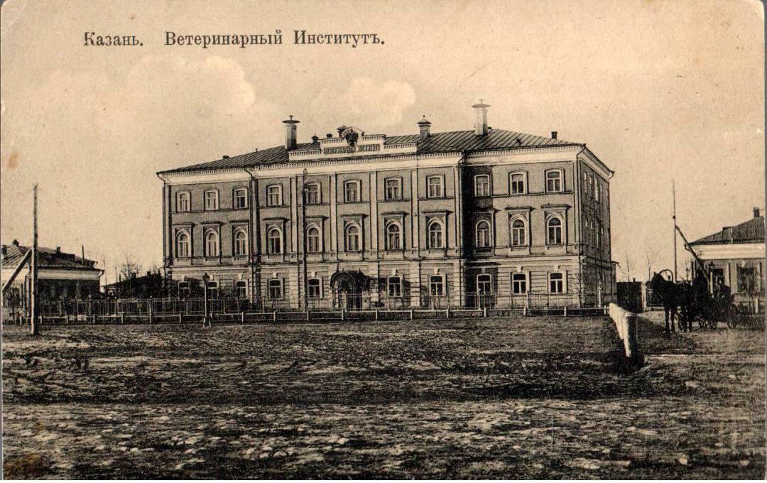Набор открыток (10 штук)