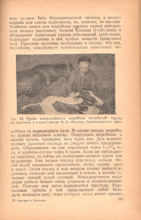 В.О. Липпинг, Г.Г. Хитенков