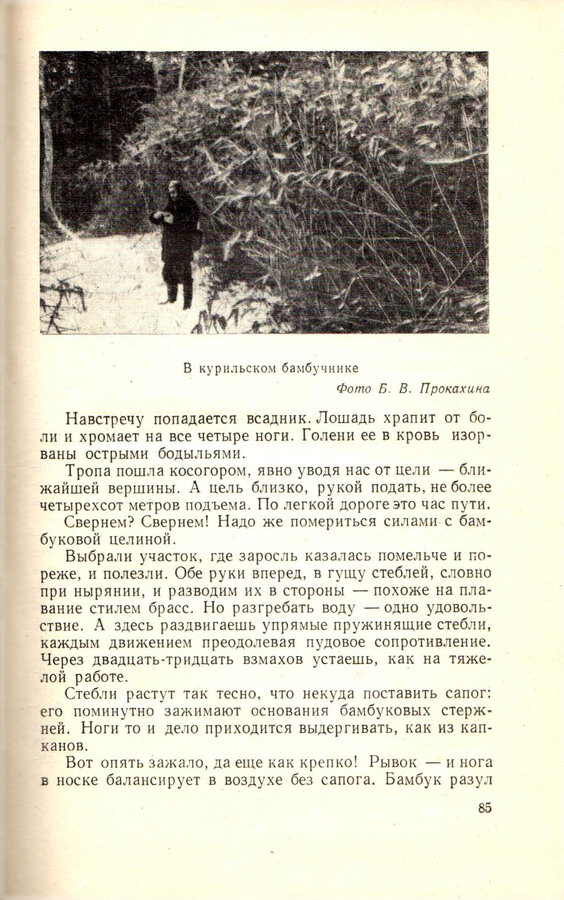 Ю.К. Ефремов