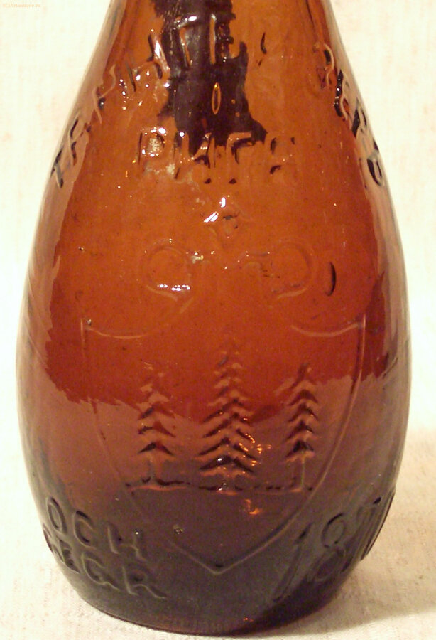 Бутылка пивная