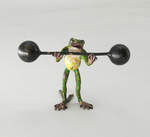 ���������-��������� "��������� �� �������"  ������ "FBW". "������� ������". ������ �� ����.