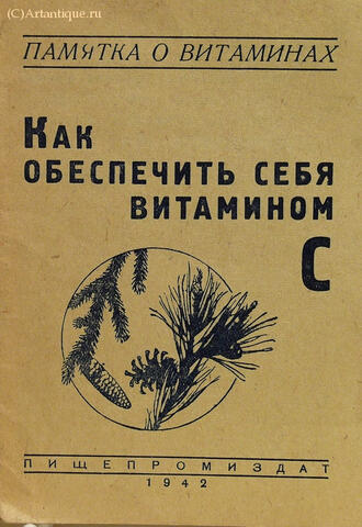 "Как обеспечить себя витамином С"