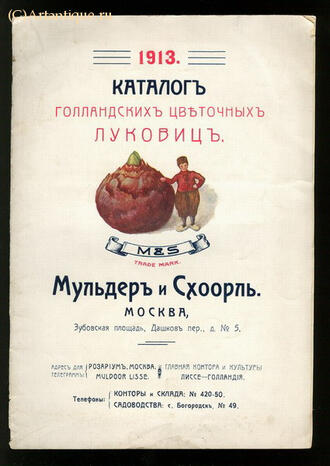 Мульдер А. А. и Схоорль А. И.