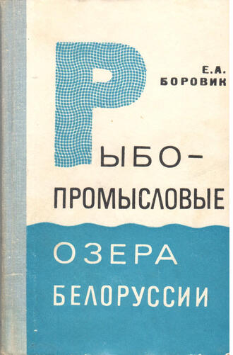 Е.А. Боровик 