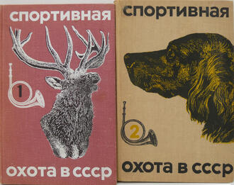 В.В. Дежкин 